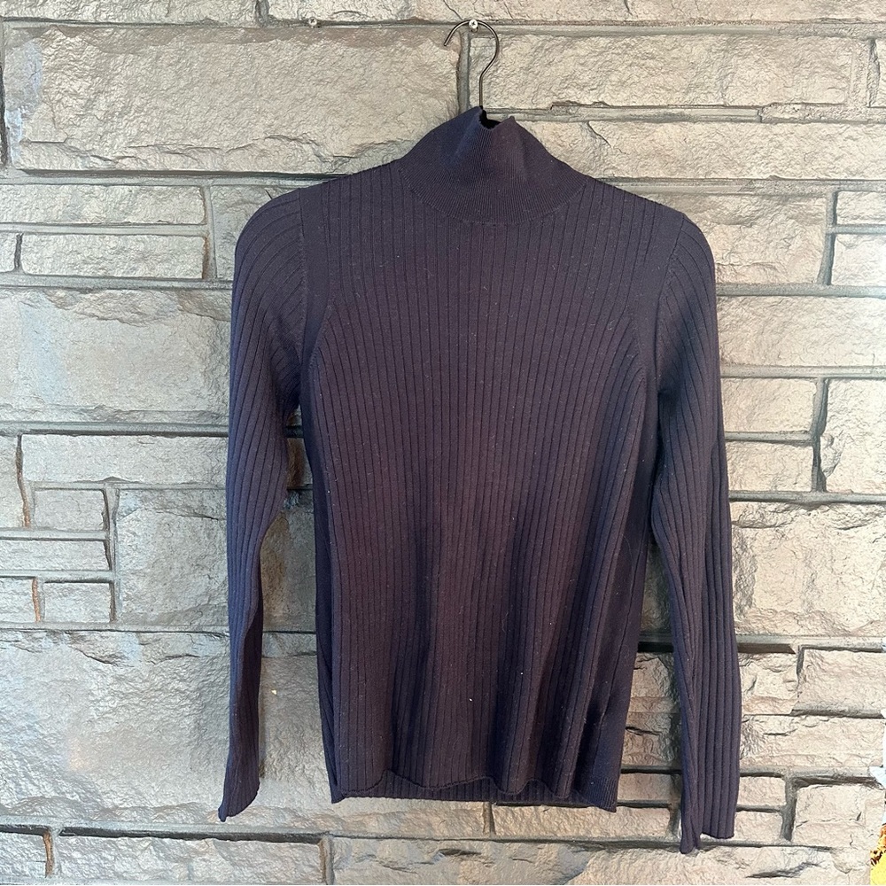 Everlane Women's Navy Wool Ribbed Turtleneck Sweater